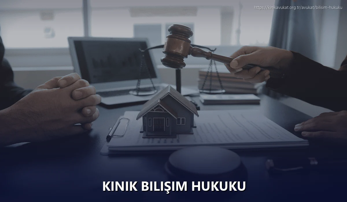 Kinik Bilişim Hukuku